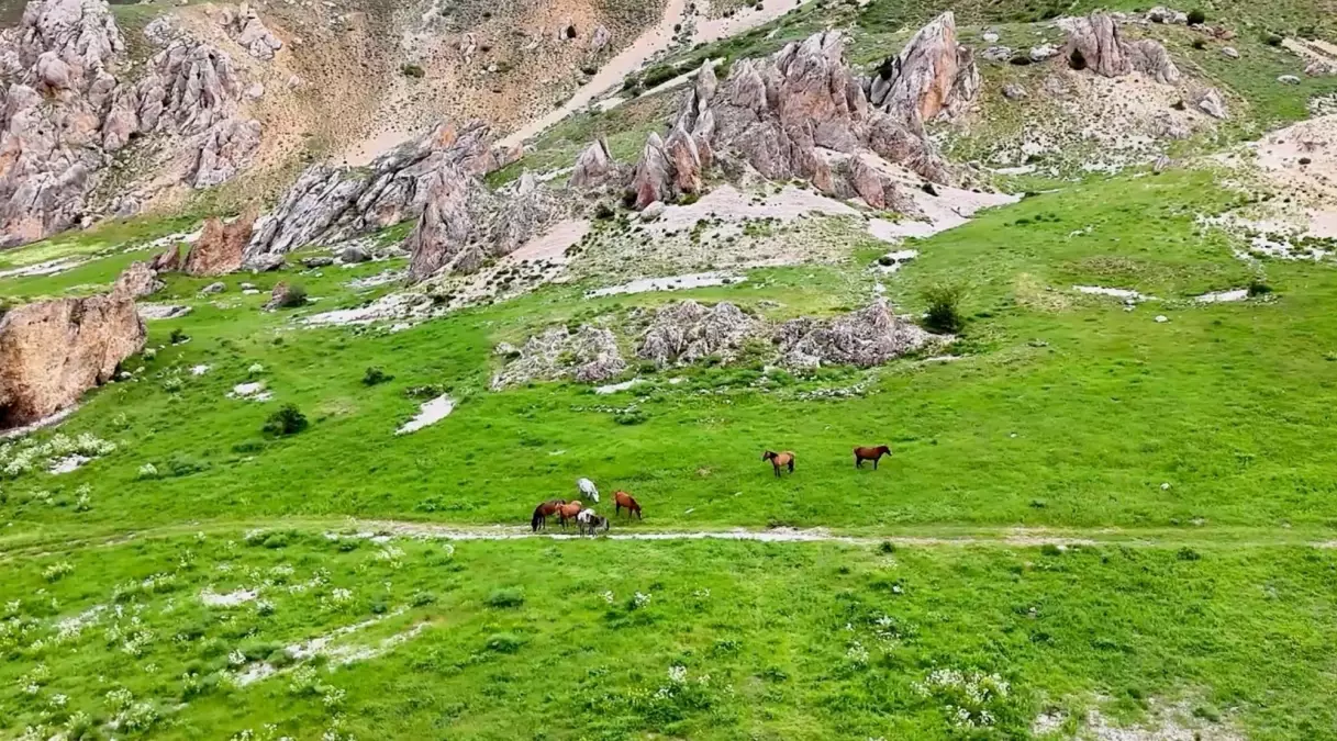 munzur daglarinda yilki atlari y2ftBz3F