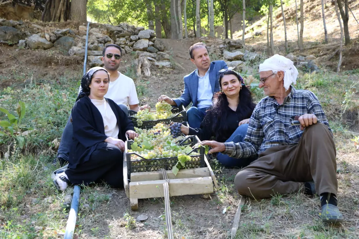 80 yasinda uzum hasadi 6q4Sfsdf