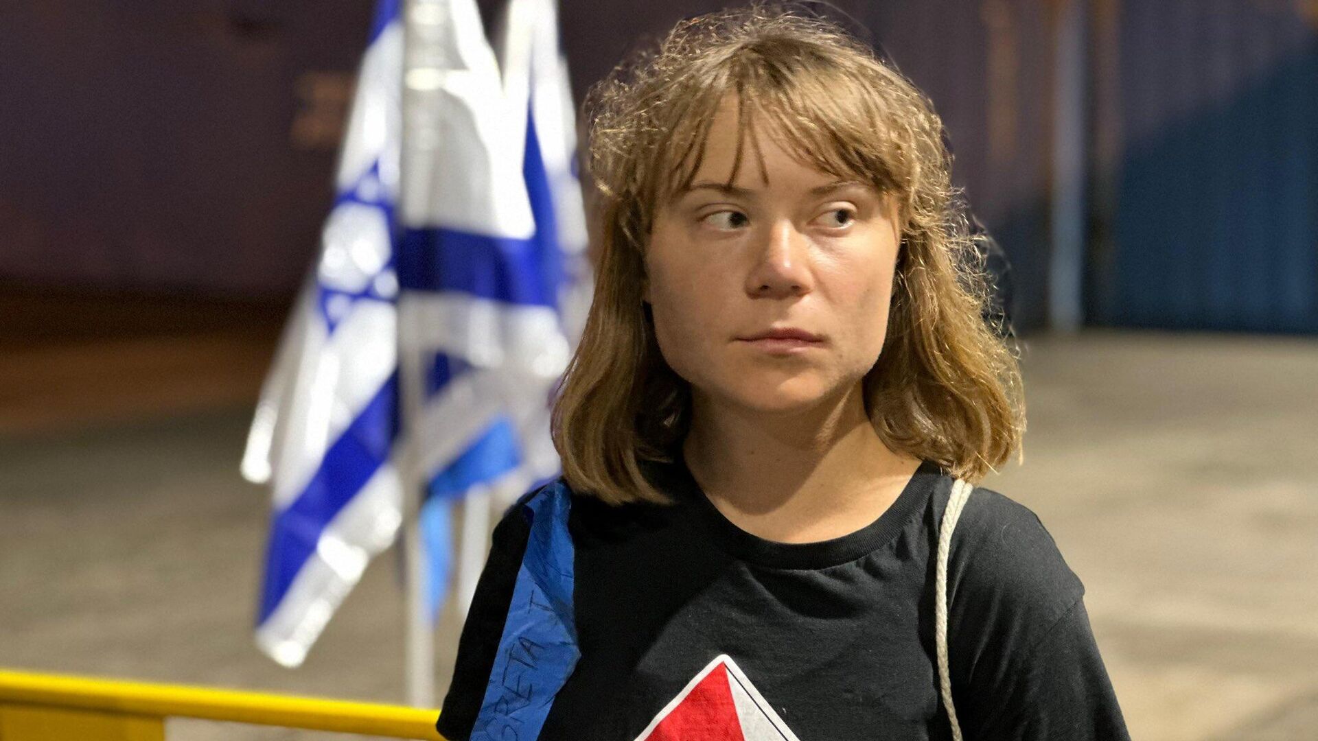 israil basini duyurdu greta thunberg yarin yunan vatandaslari ile birlikte sinir disi edilecek 8suSXxCf