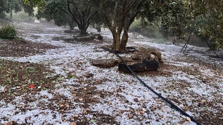 antalya-serikte-ceviz-buyuklugunde-dolu-panigi-vatandaslar-o-anlari-kaydetti-VHhuMBfj