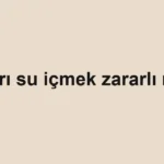 Aşırı su içmek zararlı mı?